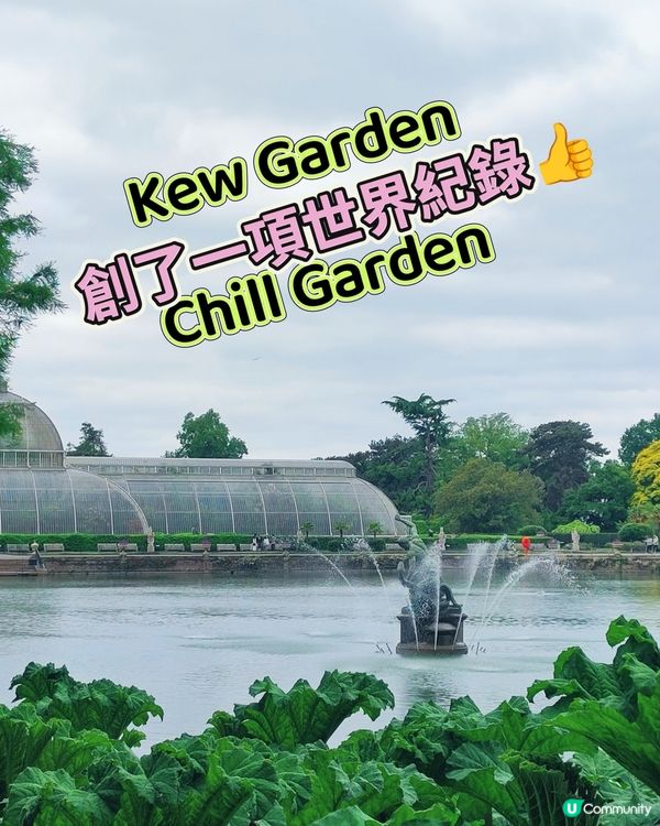 🌸我愛花花🌸之🌱邱園🌱世界植物王國👑