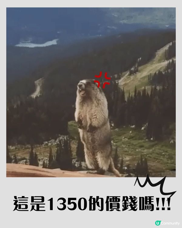 重慶住宿避雷指南 「貪平」慘痛教訓+避開1間超伏民宿