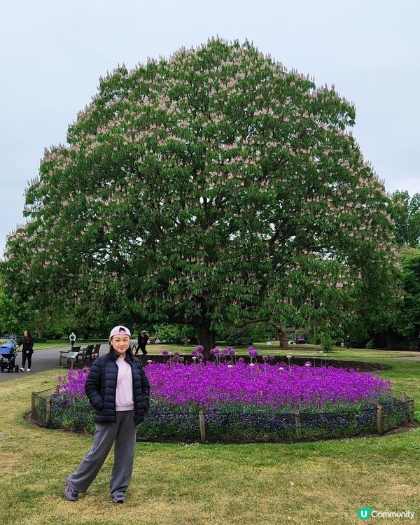 🌸我愛花花🌸之🌱邱園🌱世界植物王國👑
