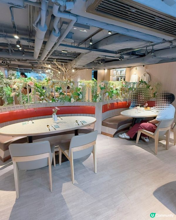 開心果系列正❤️