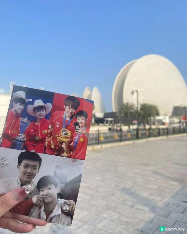 至此，明亮的心遇見無限渴望 ——記我入坑王楚欽和孫穎莎的歷程