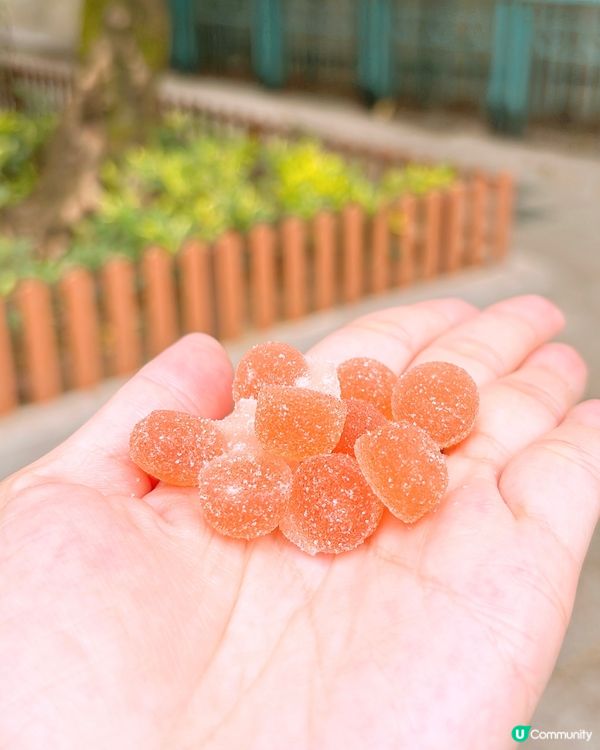 🎏VajombaxCollar打氣團應援車🚚一連三日免費派糖