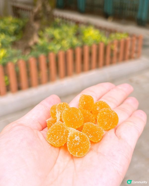 🎏VajombaxCollar打氣團應援車🚚一連三日免費派糖