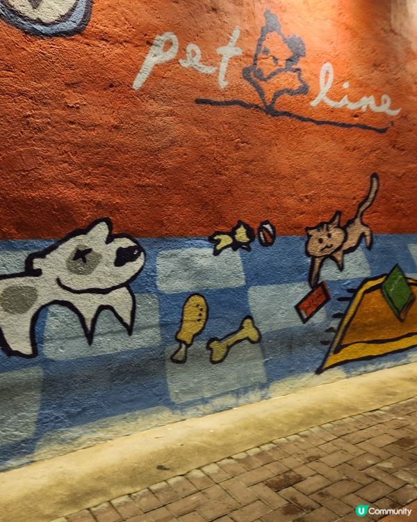 荃灣靚靚打卡點Pet line 💕💕