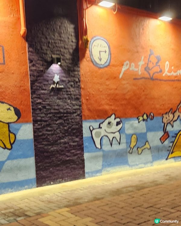 荃灣靚靚打卡點Pet line 💕💕