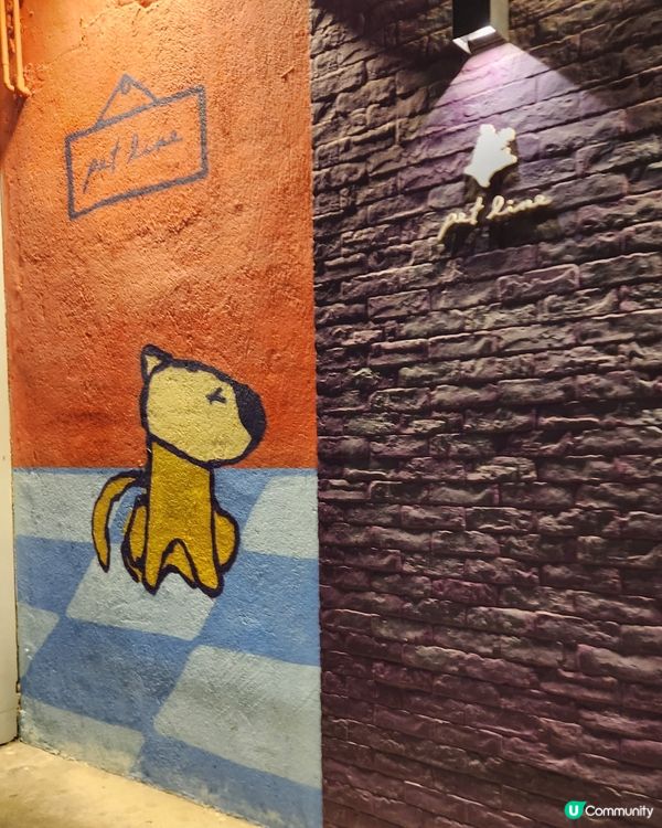 荃灣靚靚打卡點Pet line 💕💕