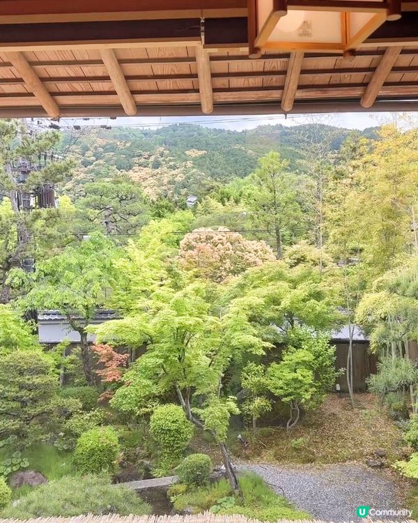 品味傳統的美味之旅 | 八手代京都豆腐鍋 🍲