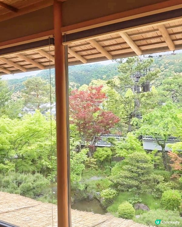 品味傳統的美味之旅 | 八手代京都豆腐鍋 🍲