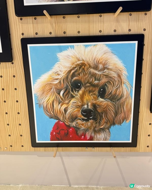可愛寵物畫展在合和🐶🐈