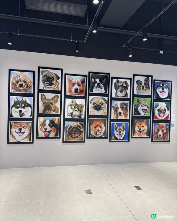 可愛寵物畫展在合和🐶🐈