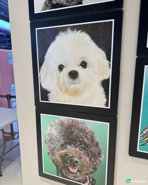 可愛寵物畫展在合和🐶🐈