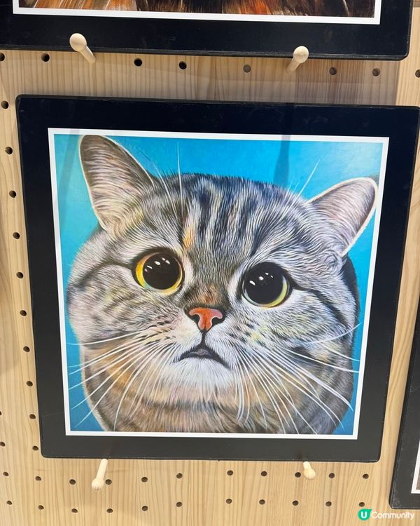 可愛寵物畫展在合和🐶🐈