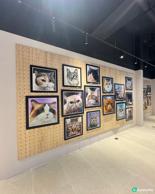 可愛寵物畫展在合和🐶🐈