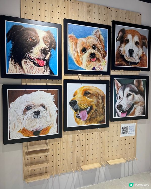 可愛寵物畫展在合和🐶🐈