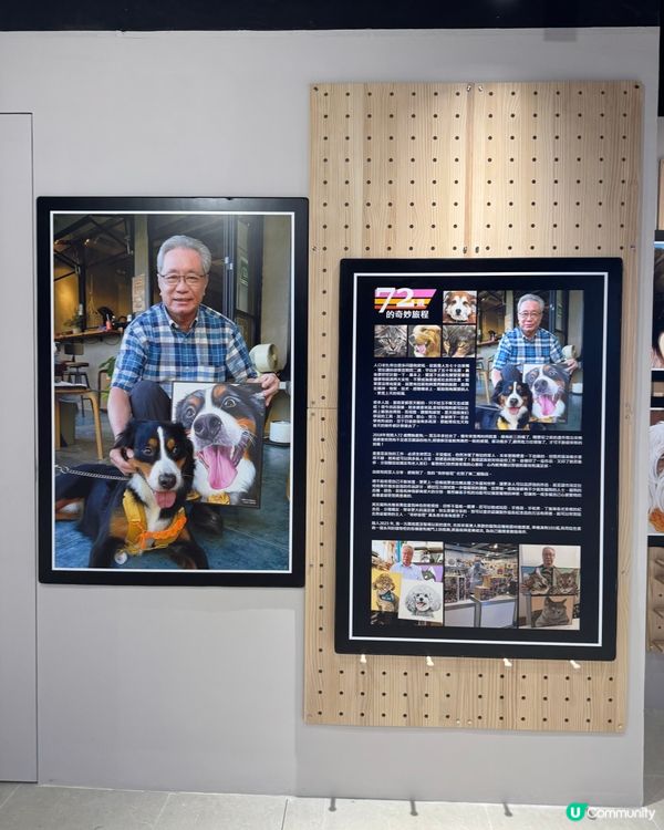 可愛寵物畫展在合和🐶🐈