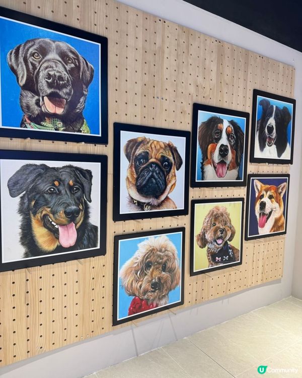 可愛寵物畫展在合和🐶🐈