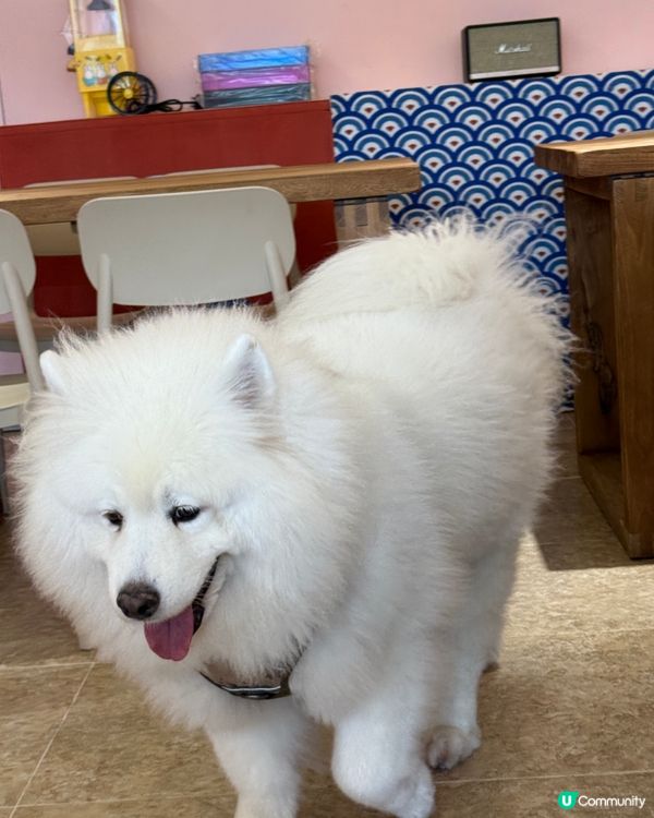 打卡新景點-馬灣1868