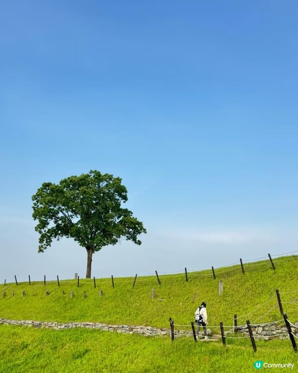 🇰🇷首爾近郊輕鬆登山路線🌳春天行山放空的好去處！