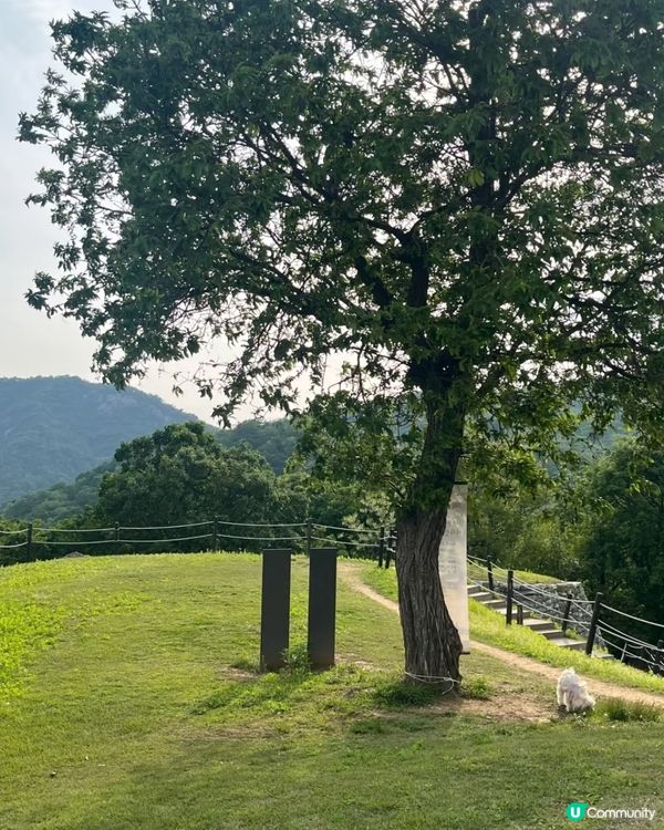 🇰🇷首爾近郊輕鬆登山路線🌳春天行山放空的好去處！
