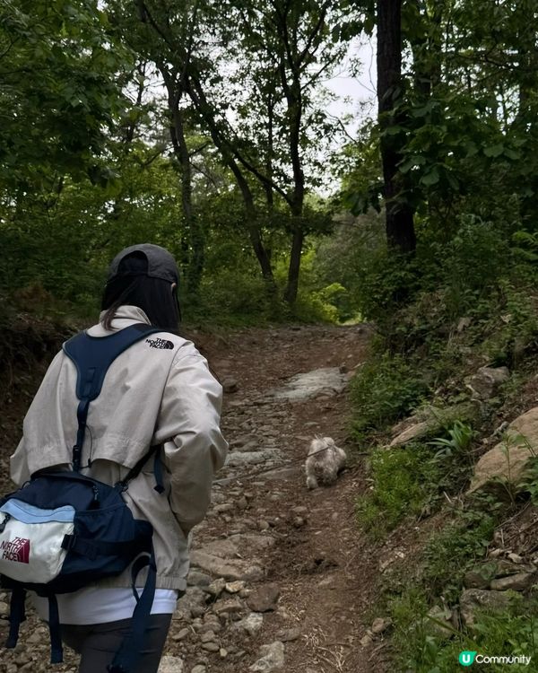 🇰🇷首爾近郊輕鬆登山路線🌳春天行山放空的好去處！