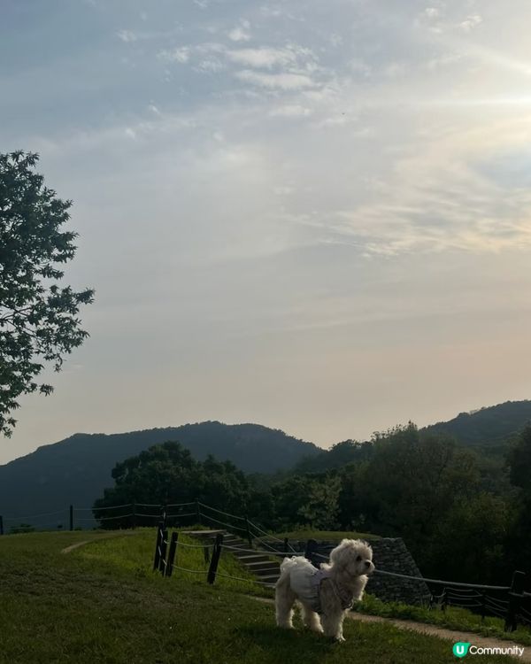 🇰🇷首爾近郊輕鬆登山路線🌳春天行山放空的好去處！