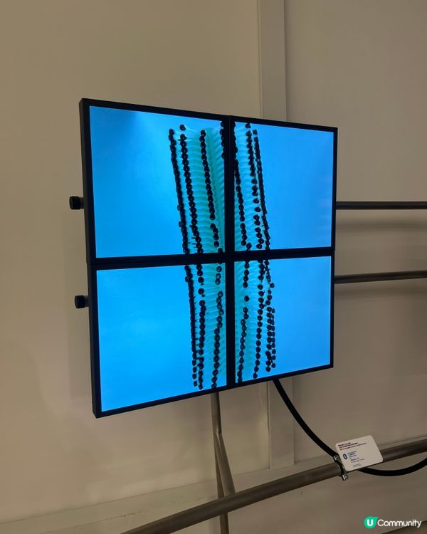 有冇聽過ASMR 體感展覽？「感官怪奇」