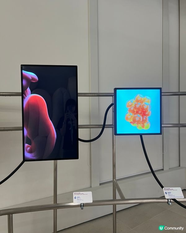 有冇聽過ASMR 體感展覽？「感官怪奇」