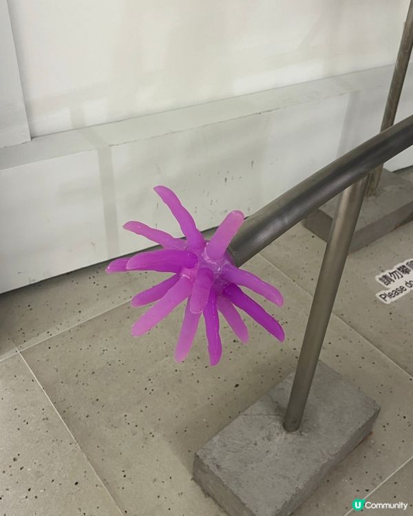 有冇聽過ASMR 體感展覽？「感官怪奇」