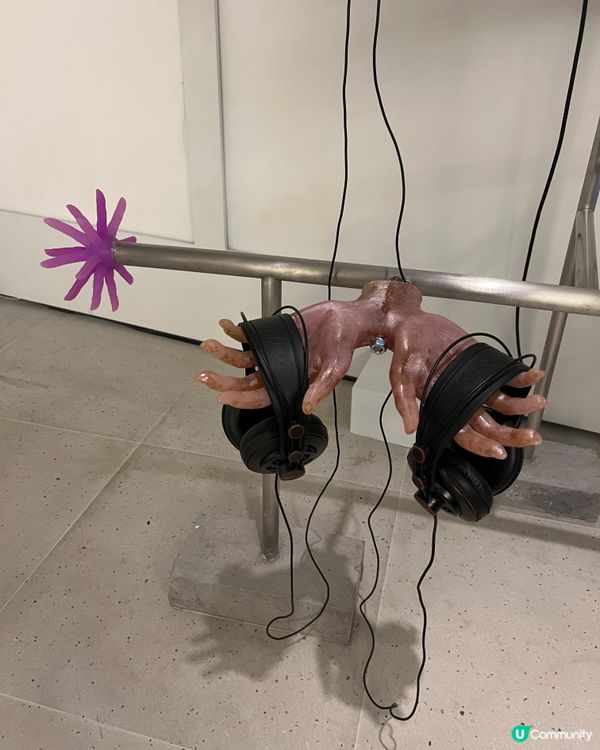 有冇聽過ASMR 體感展覽？「感官怪奇」