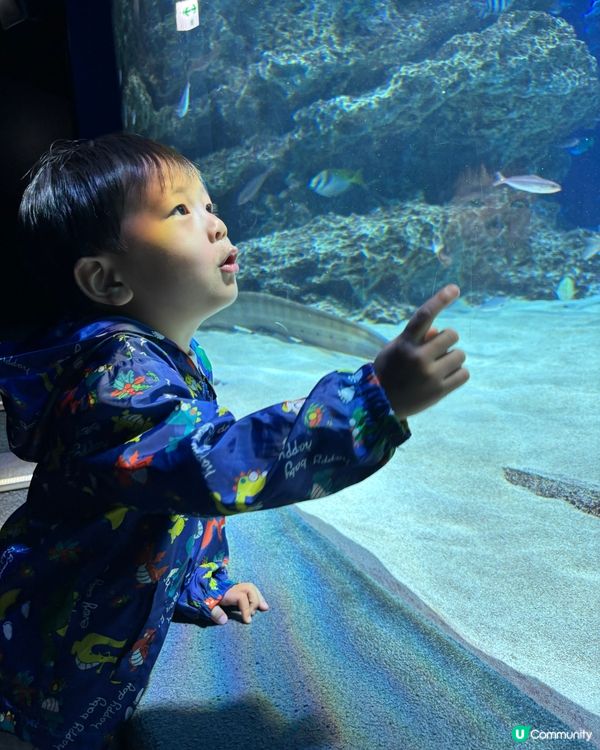 池袋Sunshine City水族館