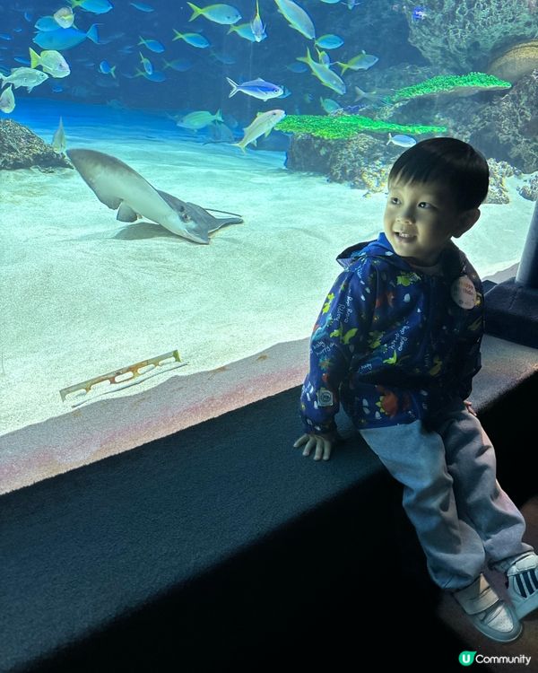 池袋Sunshine City水族館