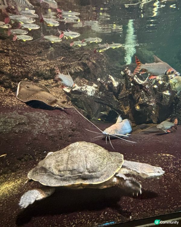 池袋Sunshine City水族館