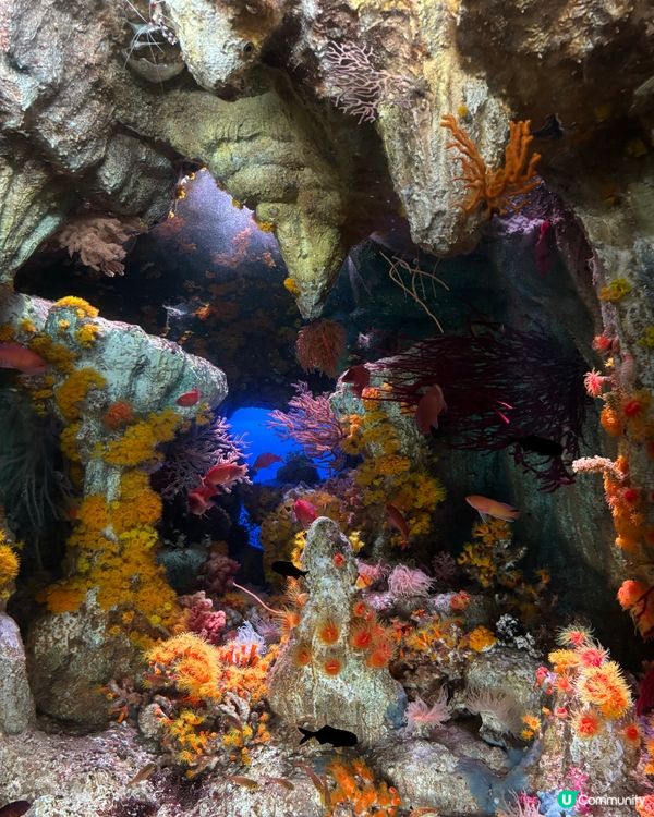 池袋Sunshine City水族館