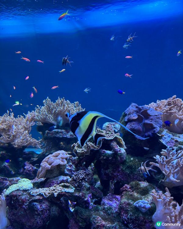 池袋Sunshine City水族館