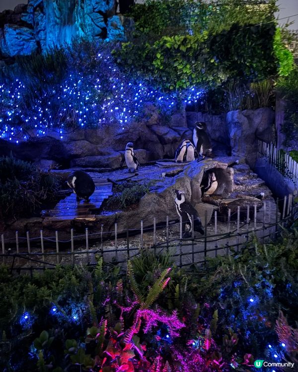 池袋Sunshine City水族館