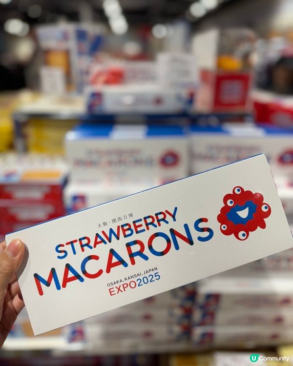 世博展覽紀念品一覧🛍️