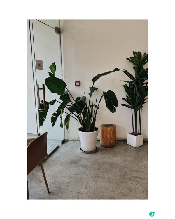 西環高質啡店 ◜ TGIF ◞ ෆ​ 