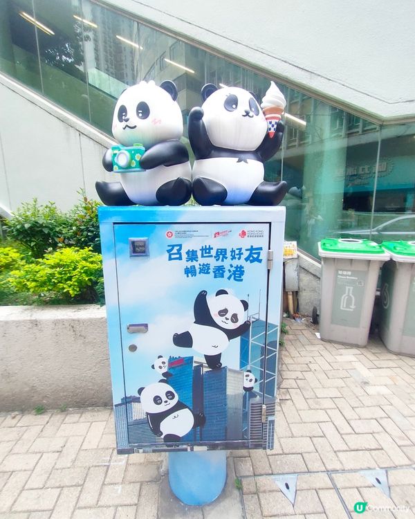 🐼鰂魚涌站前，熊貓信箱打卡熱點！📷仲有熊貓食雪糕！🍦