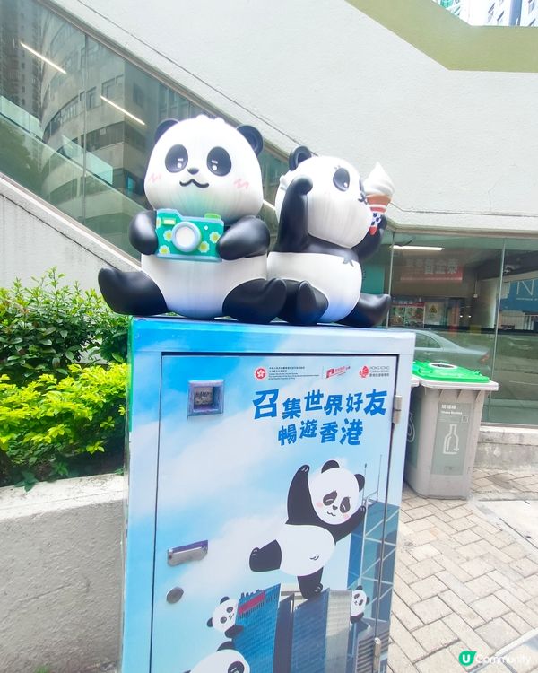 🐼鰂魚涌站前，熊貓信箱打卡熱點！📷仲有熊貓食雪糕！🍦