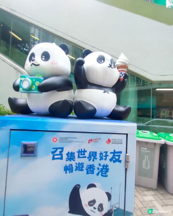 🐼鰂魚涌站前，熊貓信箱打卡熱點！📷仲有熊貓食雪糕！🍦