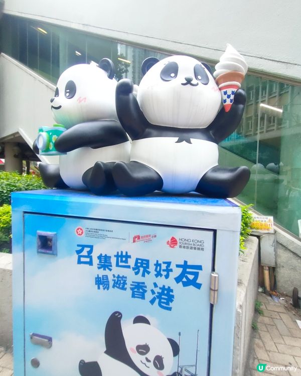 🐼鰂魚涌站前，熊貓信箱打卡熱點！📷仲有熊貓食雪糕！🍦