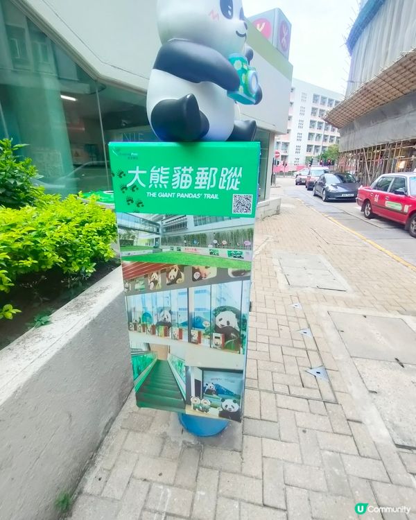🐼鰂魚涌站前，熊貓信箱打卡熱點！📷仲有熊貓食雪糕！🍦