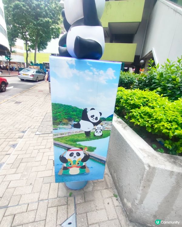 🐼鰂魚涌站前，熊貓信箱打卡熱點！📷仲有熊貓食雪糕！🍦