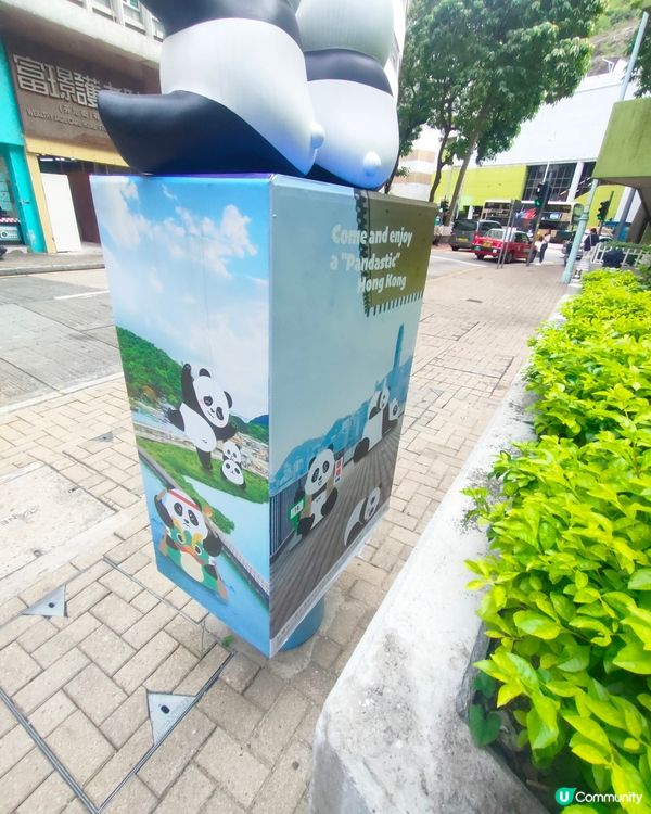 🐼鰂魚涌站前，熊貓信箱打卡熱點！📷仲有熊貓食雪糕！🍦