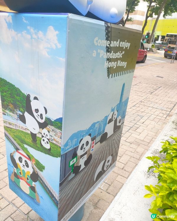 🐼鰂魚涌站前，熊貓信箱打卡熱點！📷仲有熊貓食雪糕！🍦