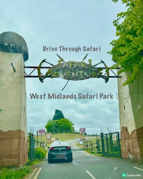 『英國』自駕遊動物園