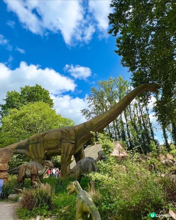 『英國』自駕遊動物園