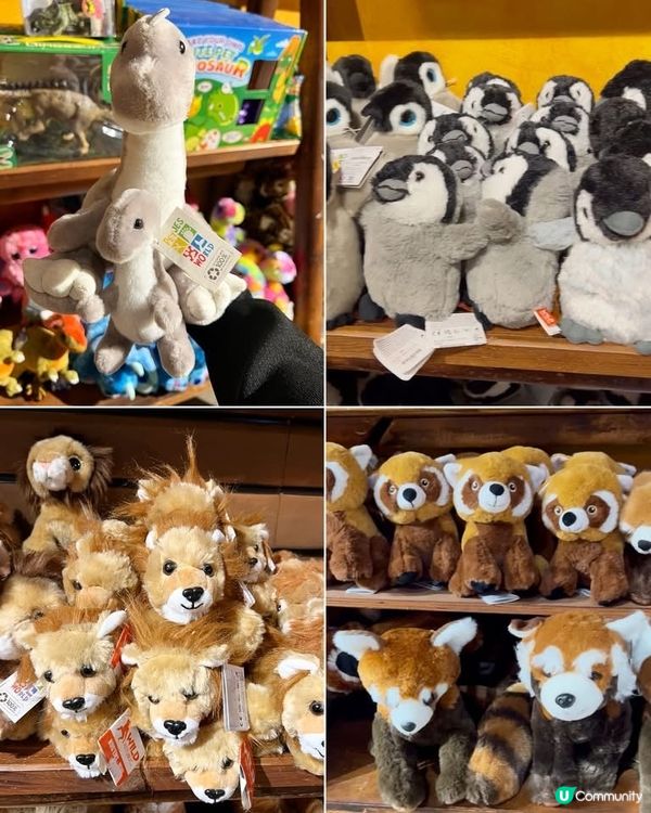 『英國』自駕遊動物園