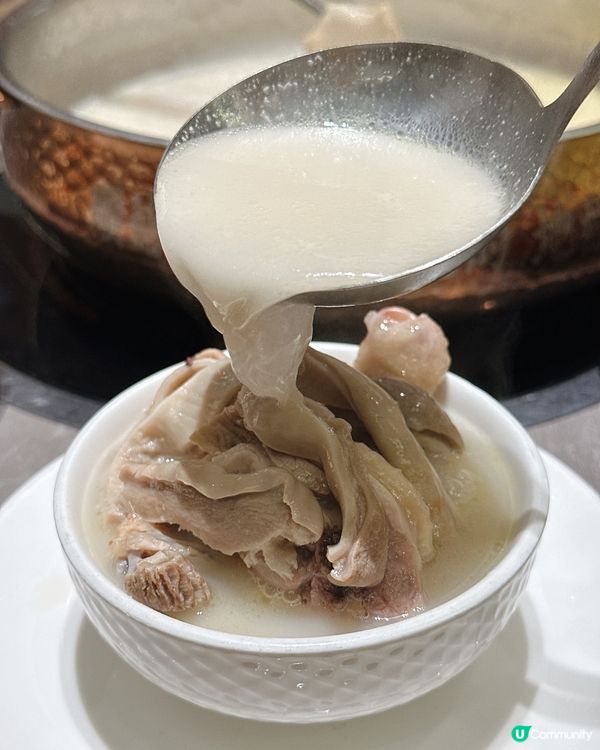 深圳必食老字號豬肚雞🍲 