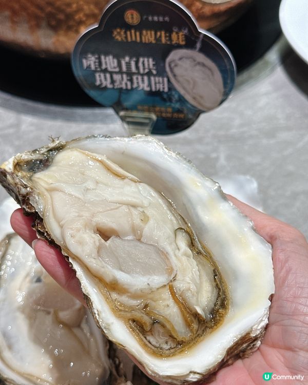 深圳必食老字號豬肚雞🍲 